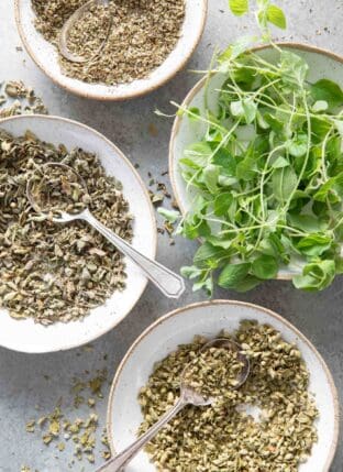 Four small dishes filled with fresh oregano, dried oregano, Mexican oregano.