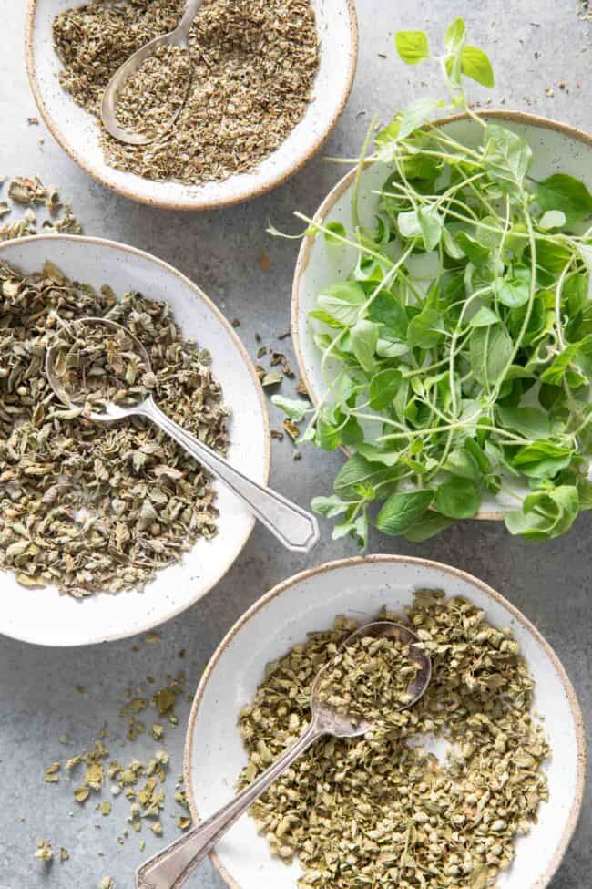 Four small dishes filled with fresh oregano, dried oregano leaves, crushed oregano and Mexican oregano (for Oregano Substitute)