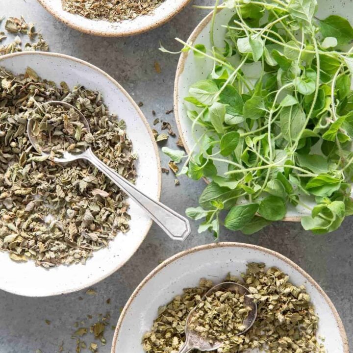 Four small dishes filled with fresh oregano, dried oregano, Mexican oregano.