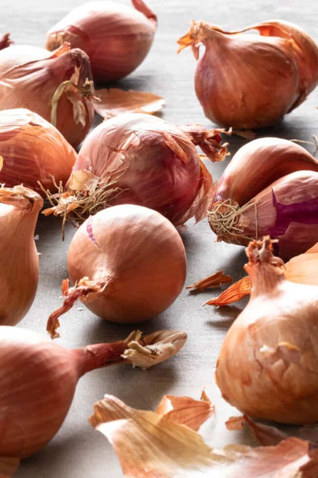 Several shallots lay on a gray surface.