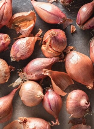 Several shallots scattered on a gray back ground.
