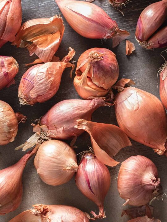 A Shallot Substitute: Two Options You Probably Have In Your Pantry