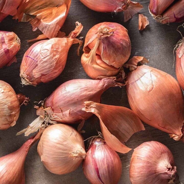 Several shallots scattered on a gray back ground.