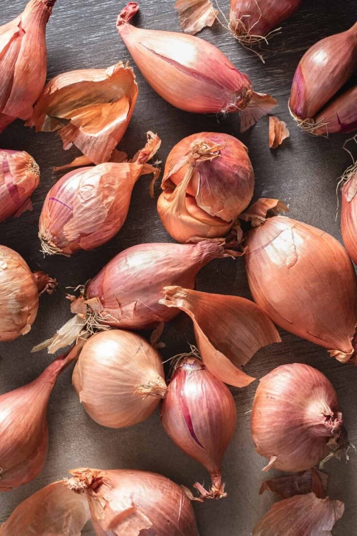 Best FAQ: What Are Shallots?