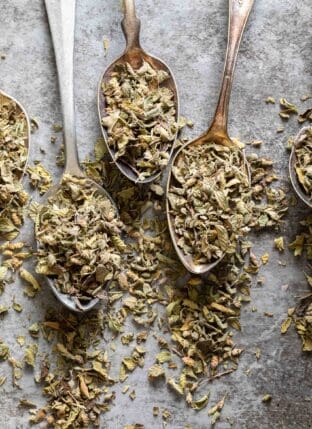 Five teaspoons filled with Mexican oregano for Mexican oregano vs oregano