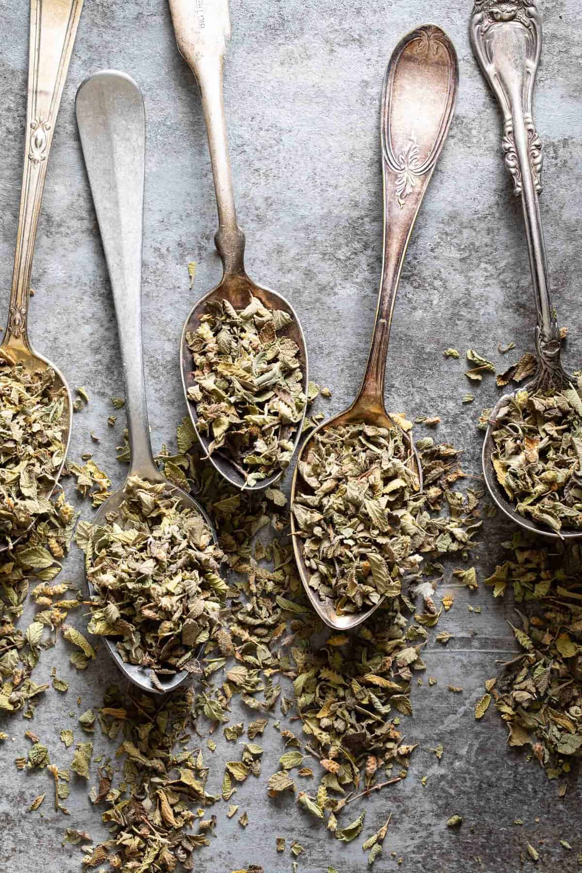 Mexican Oregano vs Oregano The Harvest Kitchen