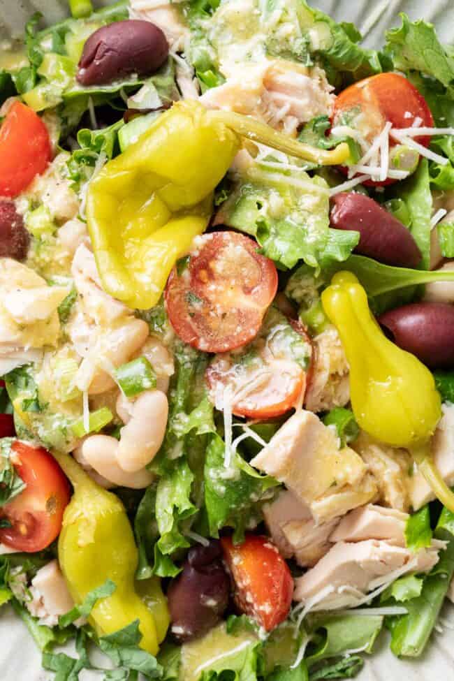 A grey plate filled with tossed greens, cherry tomatoes, canned. tuna and beans.