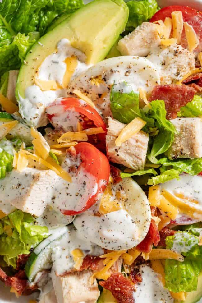 A white bowl filled with turkey avocado cobb salad.