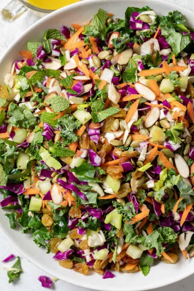 A white bowl filled with chopped kale cabbage salad.