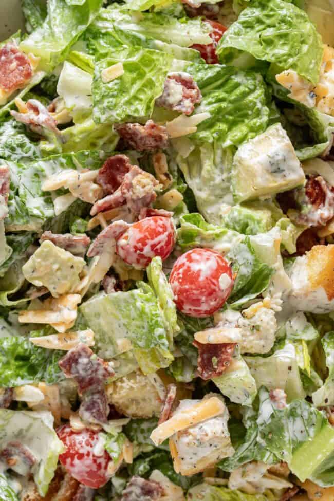 A close up of salad tossed with homemade ranch dressing.