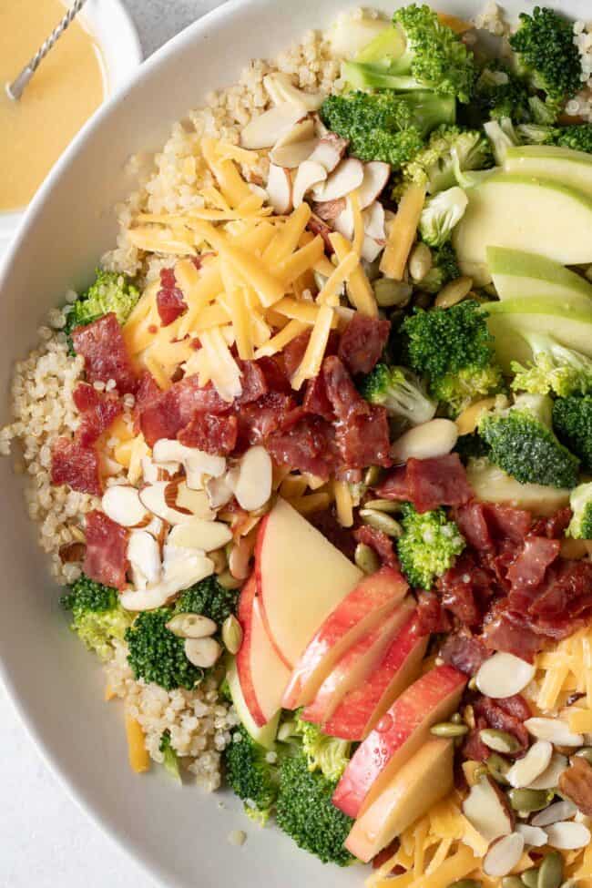 A white bowl filled with broccoli cheddar quinoa salad with chopped bacon, apples nuts and seeds.