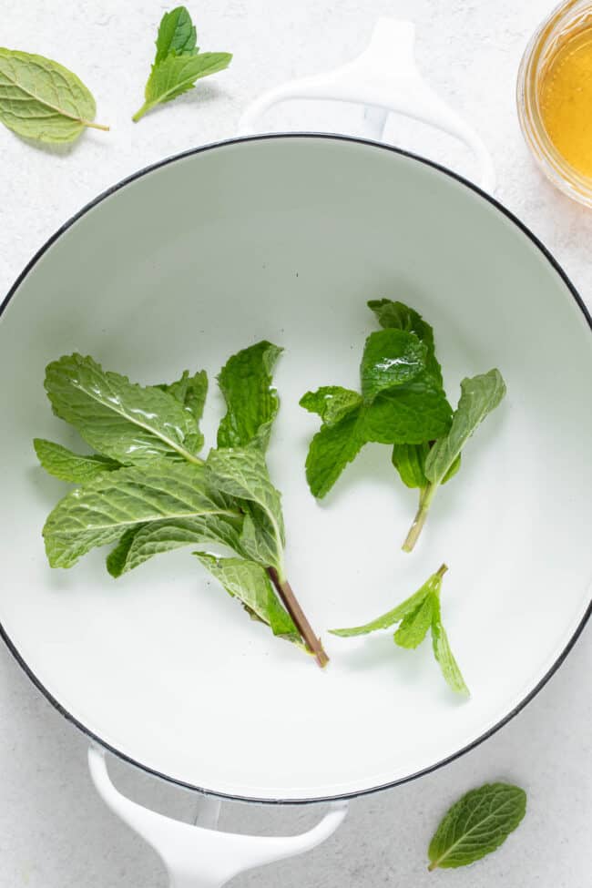 A white saucepan filled with water and fresh sprigs of mint.