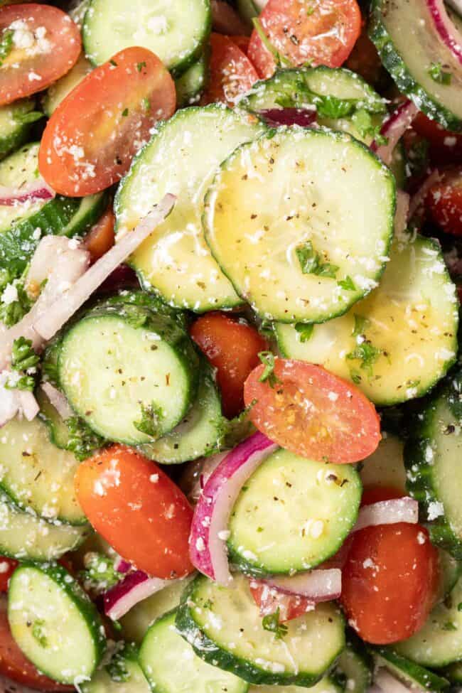 A close up photo of tomato cucumber salad drizzled with salad vinaigrette.