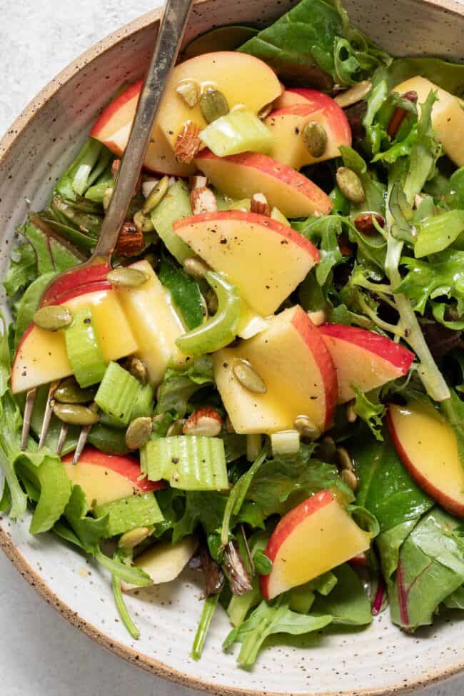 A mixed green salad with slices of apple and celery, and tossed with homemade salad dressing.