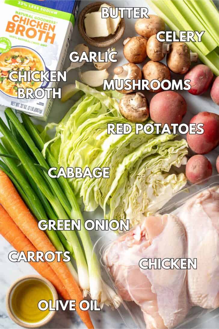 Two pieces of poultry with carrots, cabbage, celery, green onion, mushrooms, red potatoes and a box of broth.