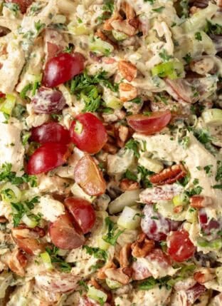 Curried Chicken Salad with grapes in a bowl.