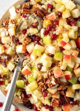 Fall Quinoa Salad with apples and cranberries in a bowl.