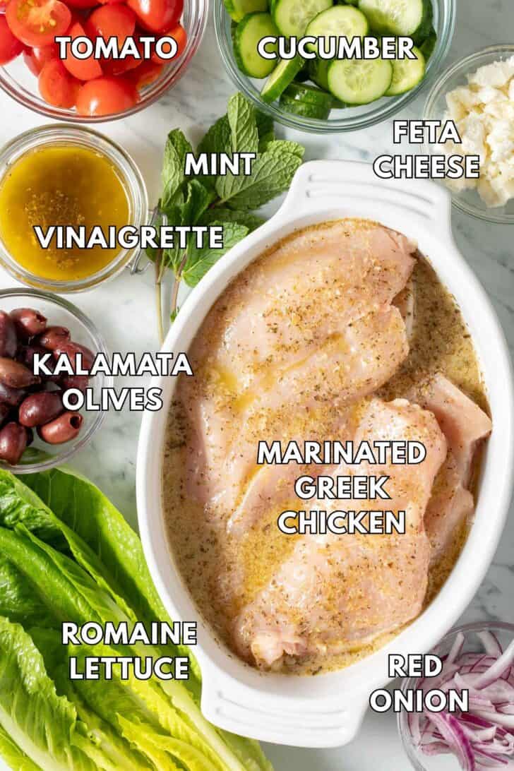 Greek Chicken Salad Recipe Marinated Greek chicken in a white baking dish.