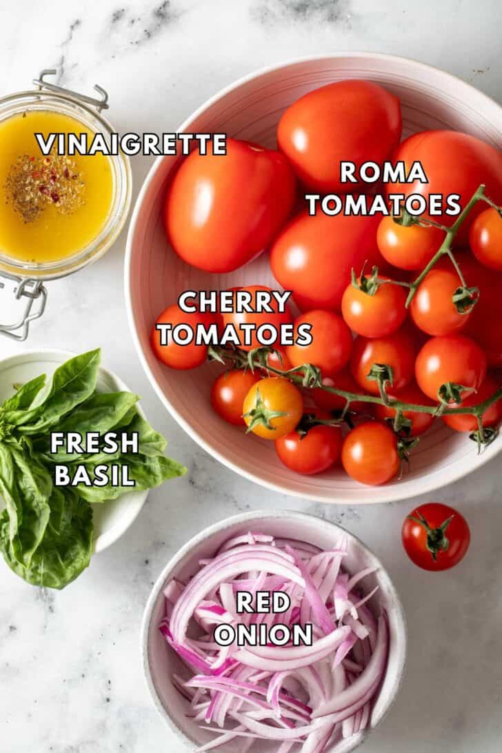 Tomato Salad Recipe A white bowl filled with tomatoes, another white bowl filled with sliced red onions.