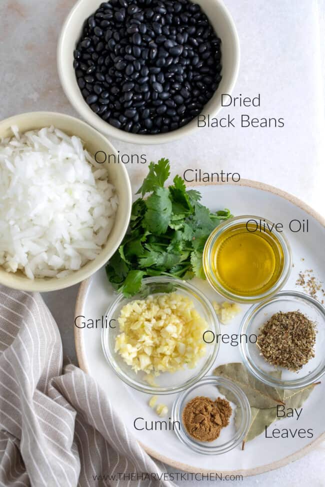 Two bowls filled with dried black beans and chopped onions. Clear glass measuring bowls filled with chopped garlic, dried oregano, ground cumin and olive oil for Cuban black beans recipe.