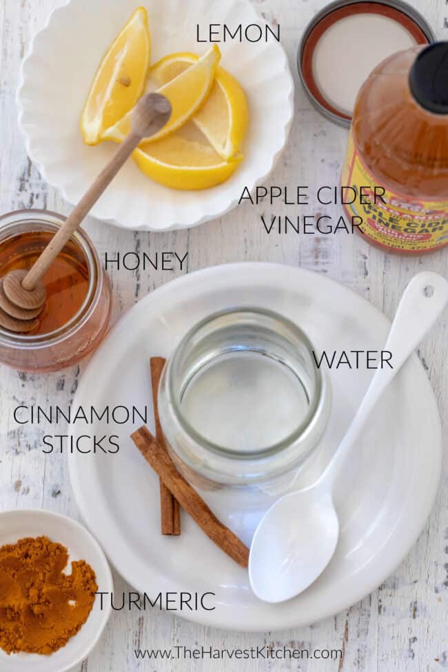 Small plates with lemon slices and bottle of apple cider vinegar for drink made with Bragg ACV