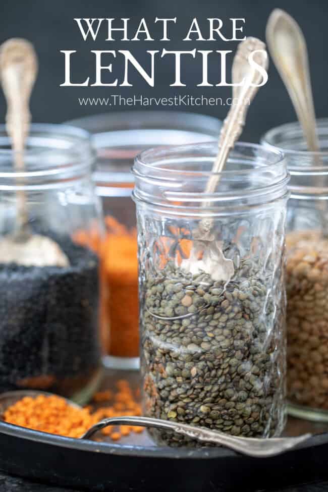 Several clear jars filled with different types of dried legumes.