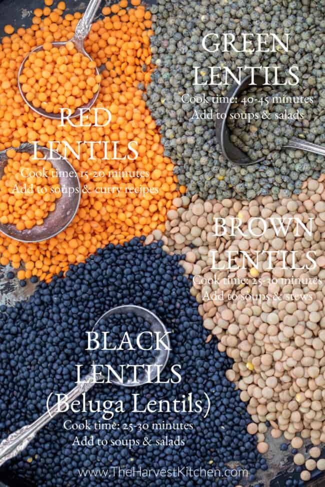 A black tray with different types of dried lentils scattered on it. Four spoons rest in the lentils.